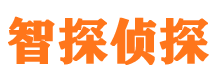 柘城外遇调查取证